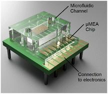 Integrated microfluidic multiple electrode aggregometry for point-of-care platelet function analysis