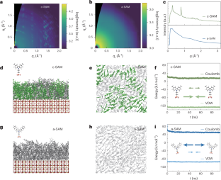 Regulating phase homogeneity by self-assembled molecules for enhanced efficiency and stability of inverted perovskite solar cells