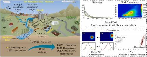 Identifying sources and distribution of organic pollutants in a Moroccan river: characterization of dissolved organic matter by absorption, excitation–emission fluorescence and chemometric analyses