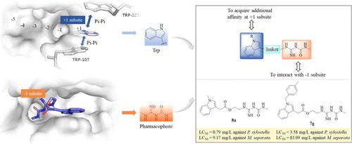 Design and Synthesis of Novel Indole-Derived N-Methylcarbamoylguanidinyl Chitinase Inhibitors with Significantly Improved Insecticidal Activity