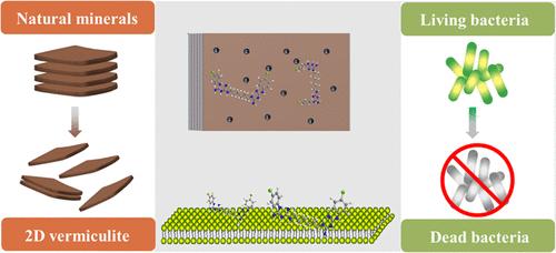 Targeted Delivery of 2D Composite Minerals for Biofilm Removal