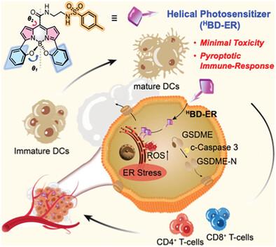 Devising Biocompatible, NIR-Activated Helical Pyroptosis Agents via 𝛑-Twisting Strategy for Promoting Antitumor Immunity