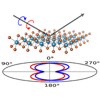 Observation of Circular Dichroism Induced by Electronic Chirality