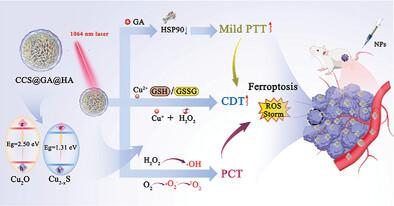 NIR-Triggered Cu2O/Cu2-xS Heterostructure as an “All-In-One” Functional Nanoplatform for Efficient Synergistic Tumor Therapy