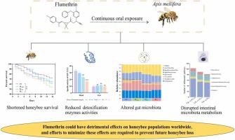 Flumethrin exposure perturbs gut microbiota structure and intestinal metabolism in honeybees (Apis mellifera)