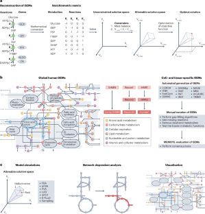 Genome-scale models in human metabologenomics