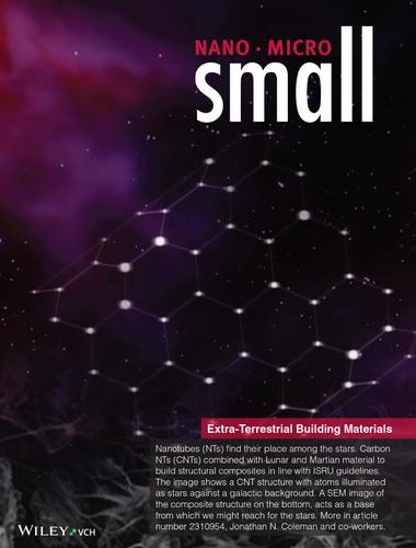 Near Room Temperature Production of Segregated Network Composites of Carbon Nanotubes and Regolith as Multifunctional, Extra-Terrestrial Building Materials (Small 38/2024)