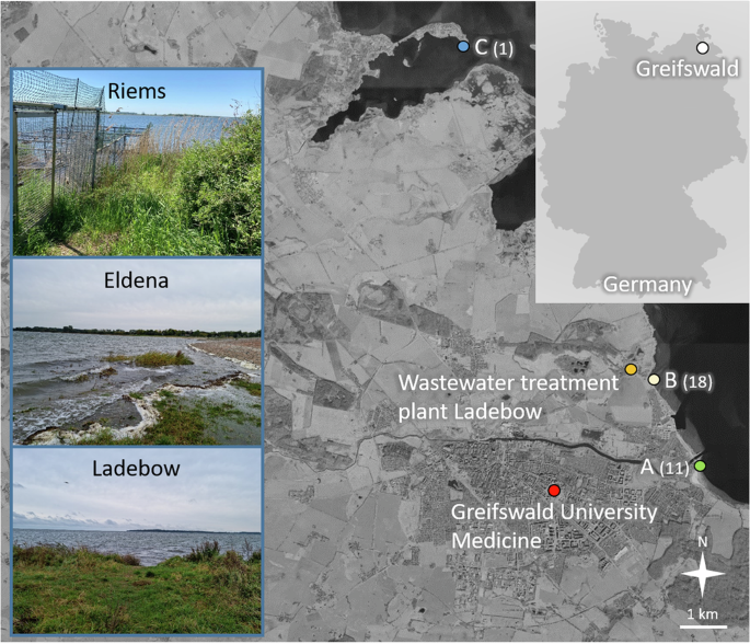 Multidrug-resistant high-risk clonal Escherichia coli lineages occur along an antibiotic residue gradient in the Baltic Sea