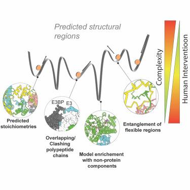 The human touch: Utilizing AlphaFold 3 to analyze structures of endogenous metabolons