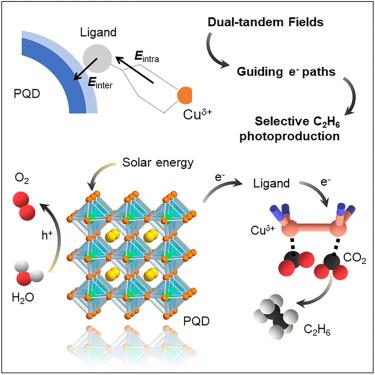 Guiding electron transfer for selective C2H6 photoproduction from CO2