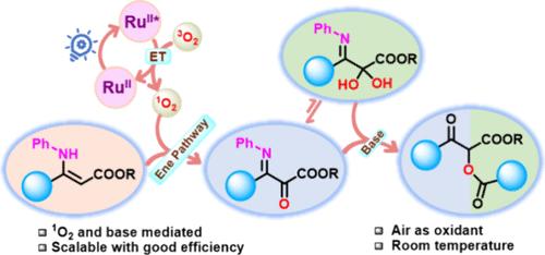 1O2 and Base Assisted Oxidative Conversion of β-Enaminoesters to α-Acyloxy-β-ketoesters under Visible Light Irradiation