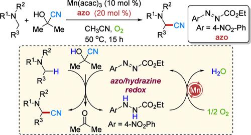 Mn-Catalyzed Aerobic Oxidative α-Cyanation of Tertiary Amines Using Azo/Hydrazide Redox