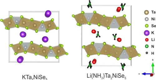 Potassium– and Lithium–Ammonia Intercalation into Excitonic Insulator Candidate Ta2NiSe5