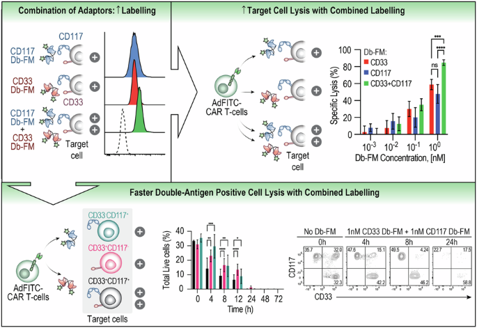 Efficient combinatorial adaptor-mediated targeting of acute myeloid leukemia with CAR T-cells