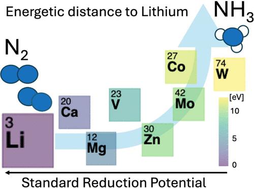 Electrochemical Nitrogen Reduction: The Energetic Distance to Lithium