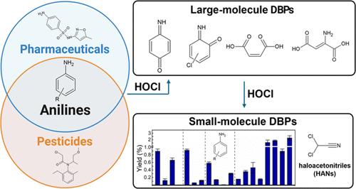 Halogenation of Anilines: Formation of Haloacetonitriles and Large-Molecule Disinfection Byproducts