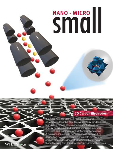 Enhancing Energy Storage Capacity of 3D Carbon Electrodes Using Soft Landing of Molecular Redox Mediators (Small 38/2024)