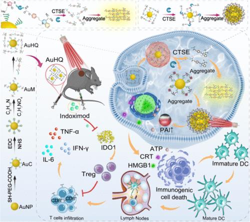 Engineering AIEgens-Tethered Gold Nanoparticles with Enzymatic Dual Self-Assembly for Amplified Cancer-Specific Phototheranostics