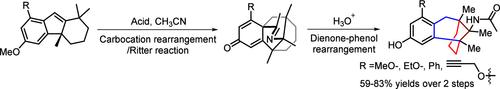 Synthesis of 2,3-Benzobicyclo[3.3.1]non-2-enes via a Cascade of Domino Carbocation Migration/Interrupted Ritter Reaction and Dienone-Phenol Rearrangement