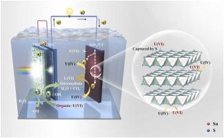 Resourceful treatment of complex uranium-organic wastewater by a hybrid tandem photocatalytic fuel cell with SnS2 nanoplate modified carbon felt cathode