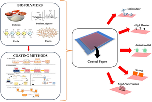 Innovative strategies to improve the properties of paper with bio-sourced material and its application in food packaging: a review