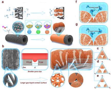 Mesoporous Silica Nanoparticle Grafted Polypropylene Membrane toward Long-Term Efficient Oxygenation