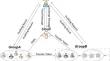 Cloud EMRs auditing with decentralized (t, n)-threshold ownership transfer