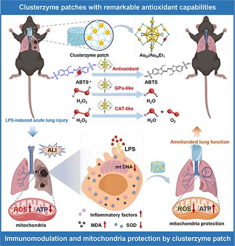 Biocatalytic Clusterzyme Patches Restore Lung Function via Immunomodulation and Mitochondria Protection