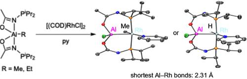 Flash Communication: Rhodium Complexes of Acetamide-Derived PAlP Pincer