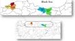 Genetic variability and population structure of Pseudocercospora griseola isolates in the Black Sea region of Türkiye