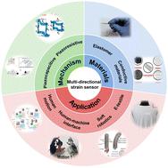 Next-generation wearable sensors: toward multi-directional strain sensing in sensory integration platforms