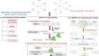 Biotechnological approaches to reduce the phytic acid content in millets to improve nutritional quality