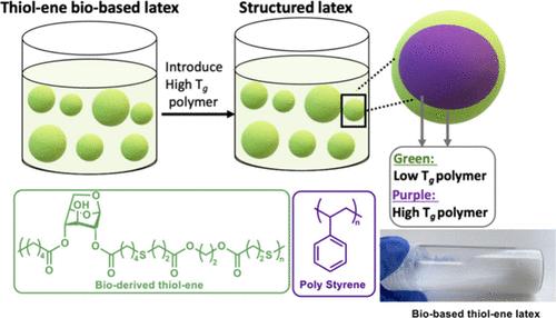 Bioderived Thiol–Ene Emulsion Polymerization for Hybrid Latex Particles