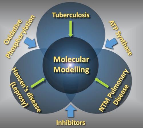 Exploring the Chemical Space of Mycobacterial Oxidative Phosphorylation Inhibitors Using Molecular Modeling