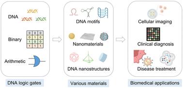 Advancements in DNA computing: exploring DNA logic systems and their biomedical applications