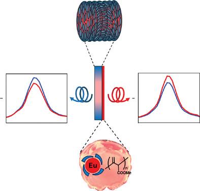 Interplay of Circularly Polarized Light with Molecular and Structural Chirality: Chiral Lanthanide Complexes and Cellulose Nanocrystals