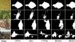 Contextual feature fusion and refinement network for camouflaged object detection