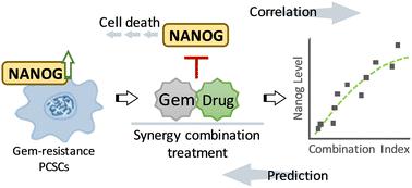 Prediction of synergistic gemcitabine-based combination treatment through a novel tumor stemness biomarker NANOG in pancreatic cancer