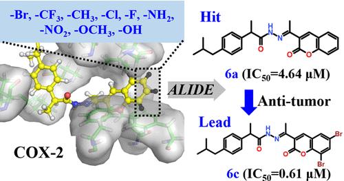 AILDE Computer-Aided Discovery of Novel Ibuprofen–Coumarin Antitumor Lead Compounds Targeting Cyclooxygenase-2