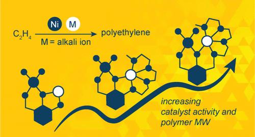 Optimizing the Cation Binding Pocket in Nickel Phenoxyimine Catalysts Improves Ethylene Polymerization Efficiency