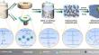 Transparent, flame retardant and machinable cellulose/silica composite aerogels with nanoporous dual network for energy-efficient buildings