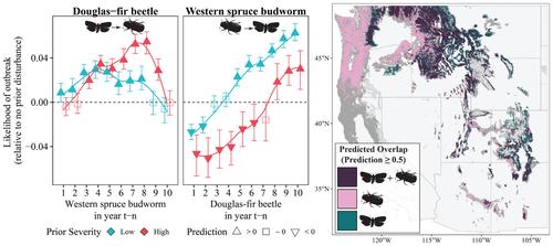 Budworms, beetles and wildfire: Disturbance interactions influence the likelihood of insect-caused disturbances at a subcontinental scale