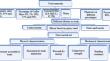 Enhancement of the Mechanical Characteristics of a Green Mortar Under Extreme Conditions: Experimental Study and Optimization Analysis