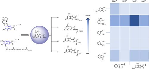 Discovery of Structural Diversity Guided N-S Heterocyclic Derivatives Based on Natural Benzothiazole Alkaloids as Potential Cytotoxic Agents