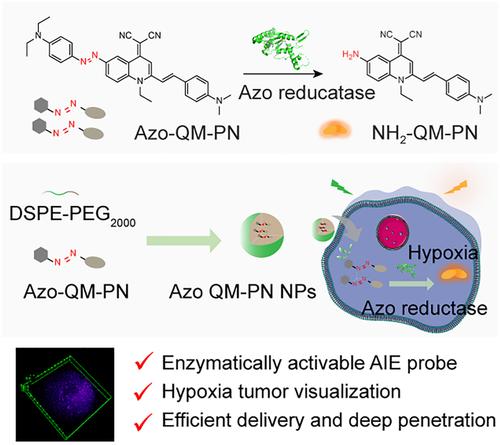 An azo substituted quinoline-malononitrile enzyme-activable aggregation-induced emission nanoprobe for hypoxia imaging