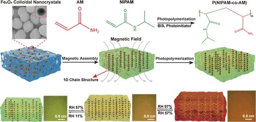 Magnetic Self-Assembled Fe3O4 Colloidal Nanocrystals in Structural Color Hydrogels for Environmental Humidity Monitoring