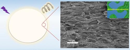 Broadband Circularly Polarized Luminescent Films Based on the Heterogeneous Assembly of Cellulose Nanocrystals