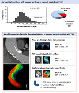 Incidence and predictors of continued ascending aortic dilatation after TAVI in patients with bicuspid aortic stenosis