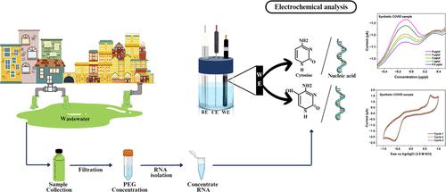 Electrochemical Signatures as a Diagnostic Tool for SARS-CoV-2 and Its Variant Detection in Real-Time Wastewater Samples