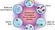 Recent Advances in Non-Thermal Plasma for Seed Germination, Plant Growth, and Secondary Metabolite Synthesis: A Promising Frontier for Sustainable Agriculture